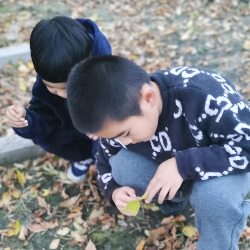 摸鱼的。舒芙蕾