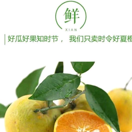 小可爱们的爸爸👨
