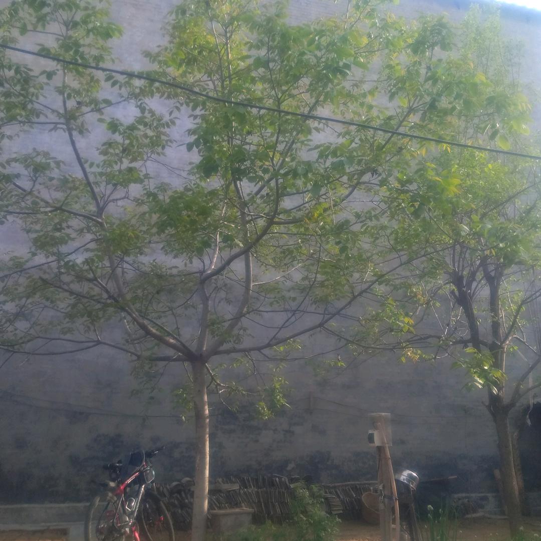 八十多岁的老奶奶