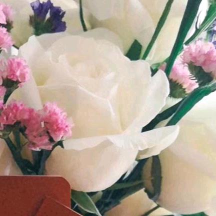 退休小老太的日常碎片