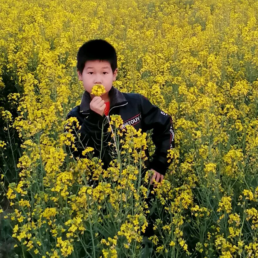 @Mrs李（吉祥三宝）