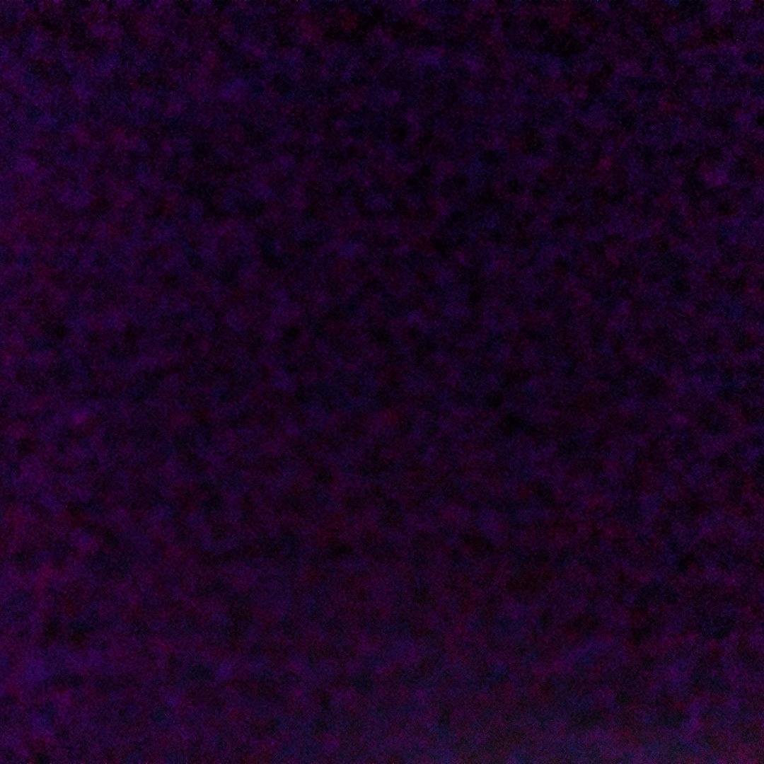 人在巅峰