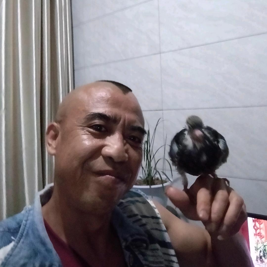 无酒不欢无女不乐