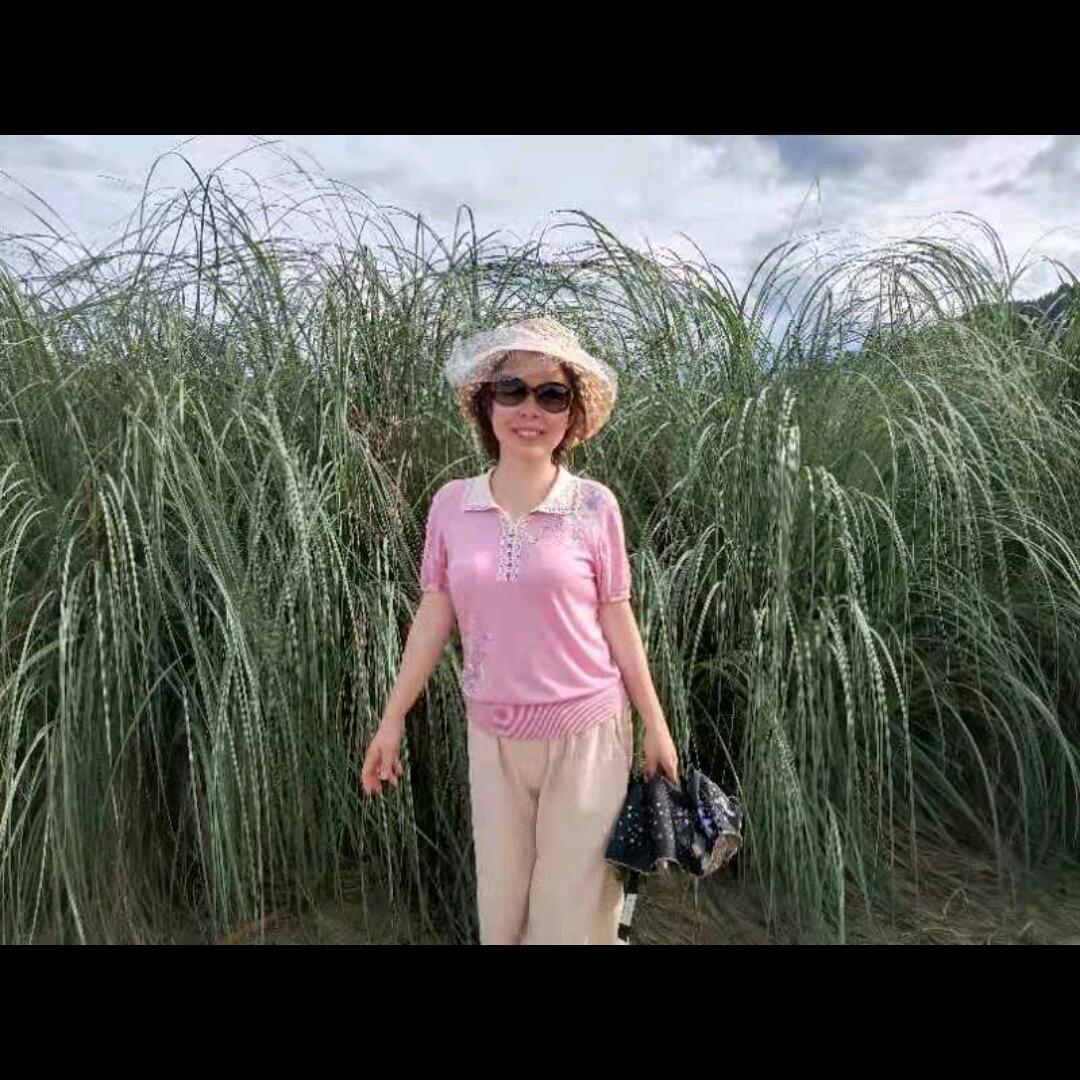 梅珍
