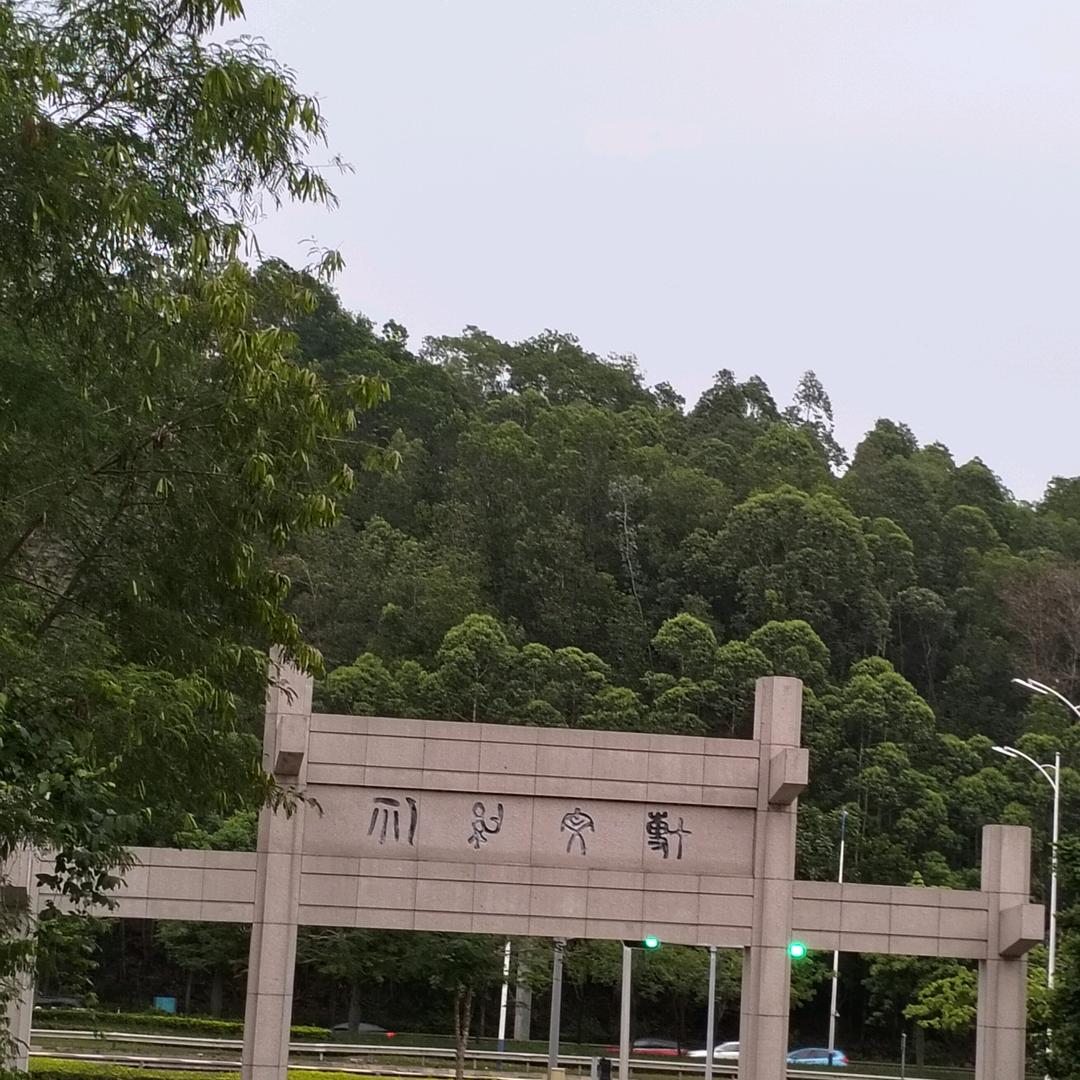 骑着牛背过河🌸🎎🌙⭕