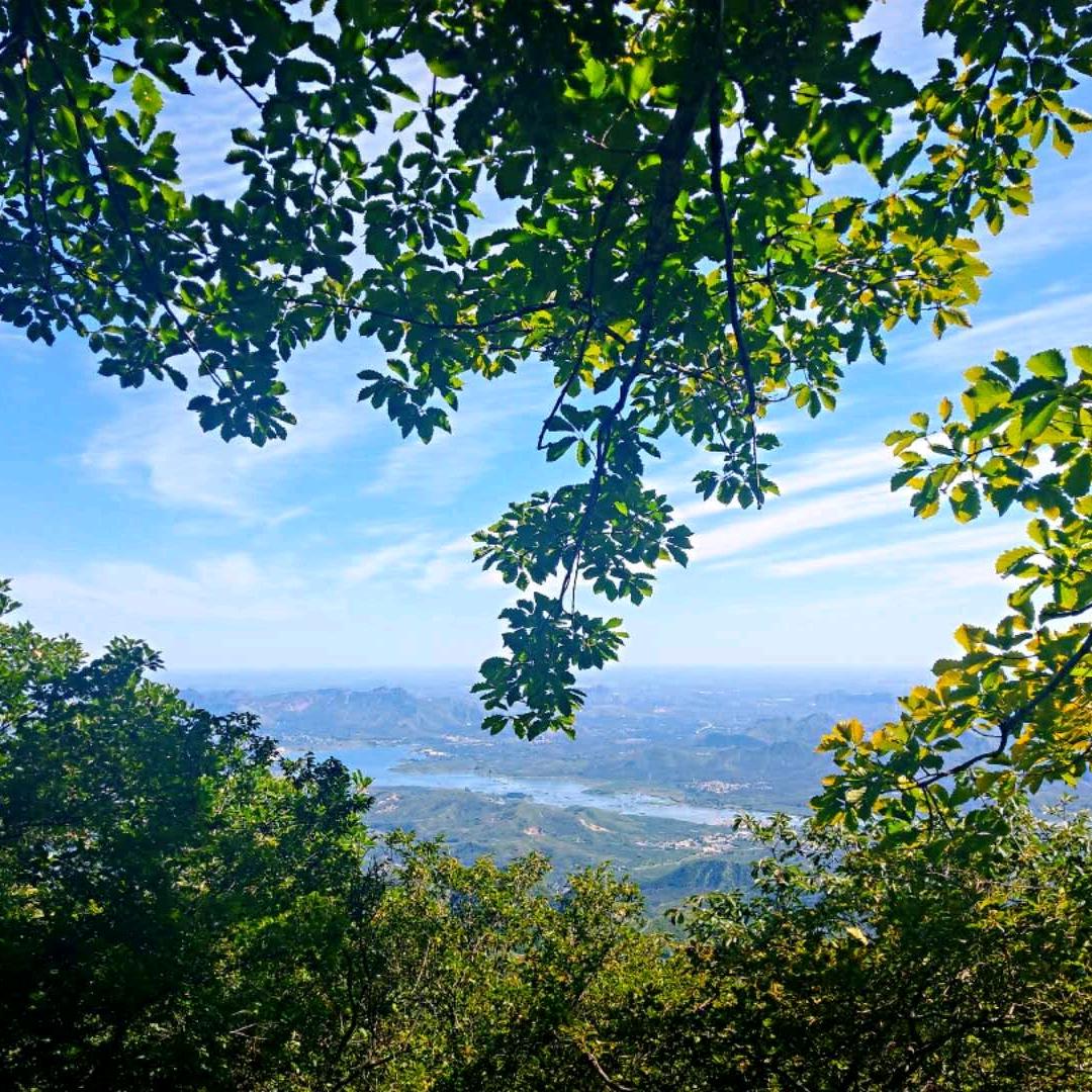 鑫森淼焱