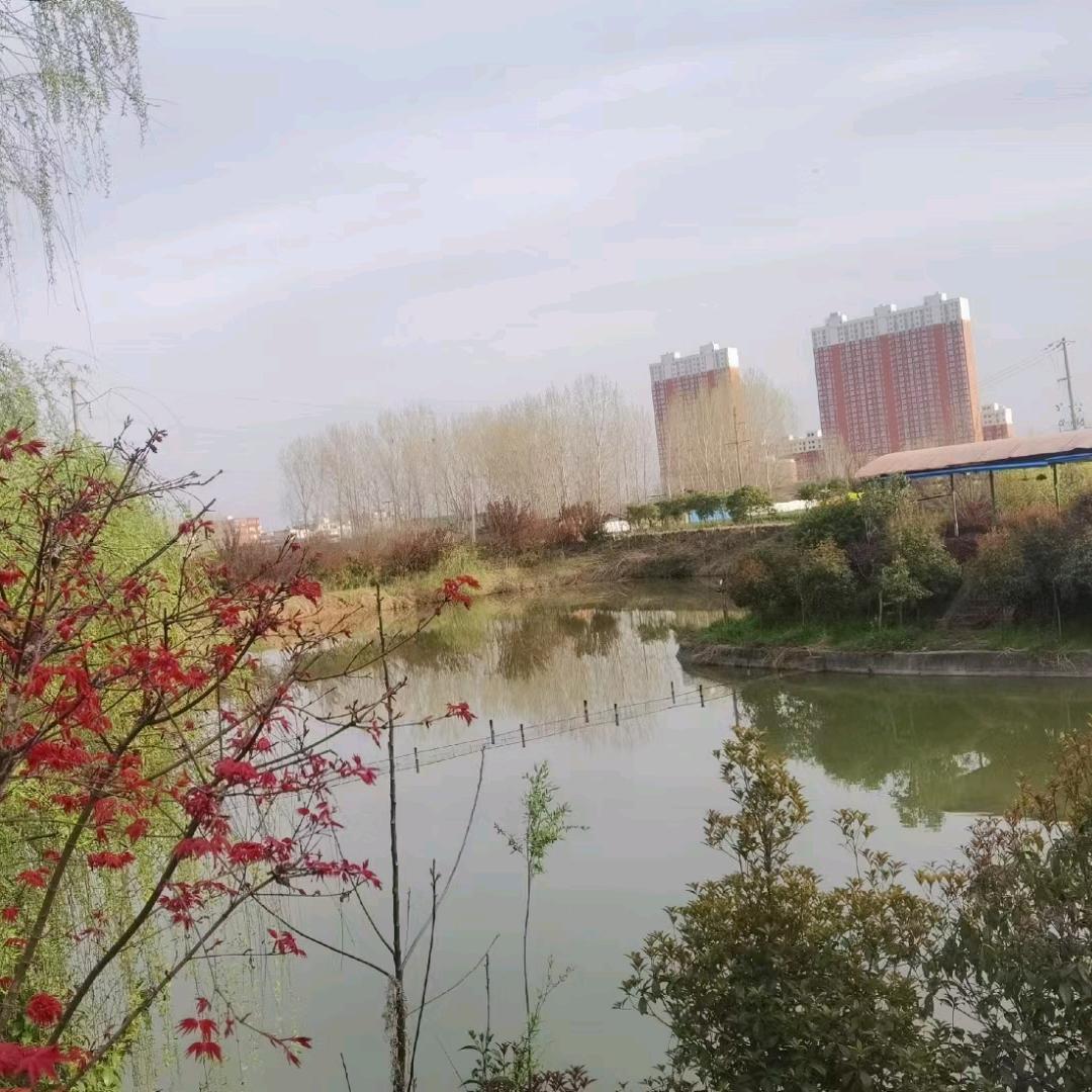 邓州市丁老二鱼庄