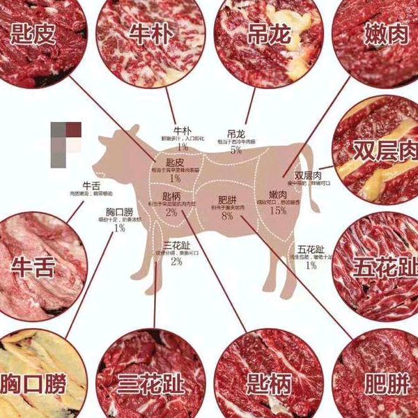牛肉妹🐮牛肉妹🐮牛肉妹🐮牛肉妹🐮