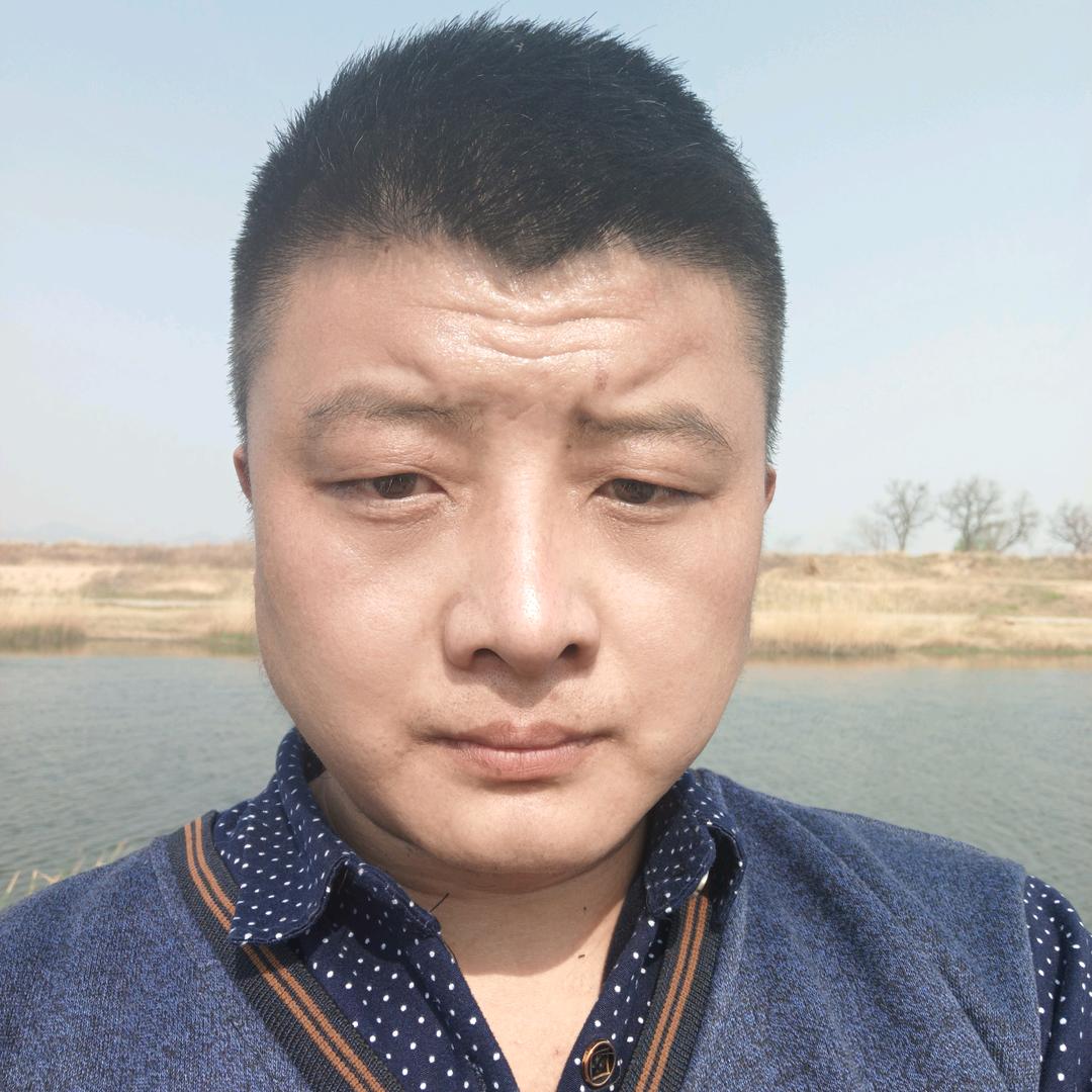 我心依然