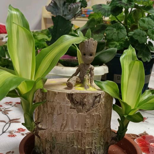 终究错付