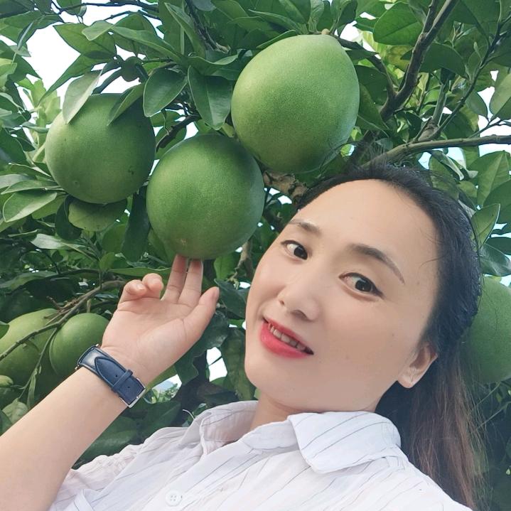 贵州蜜柚妹