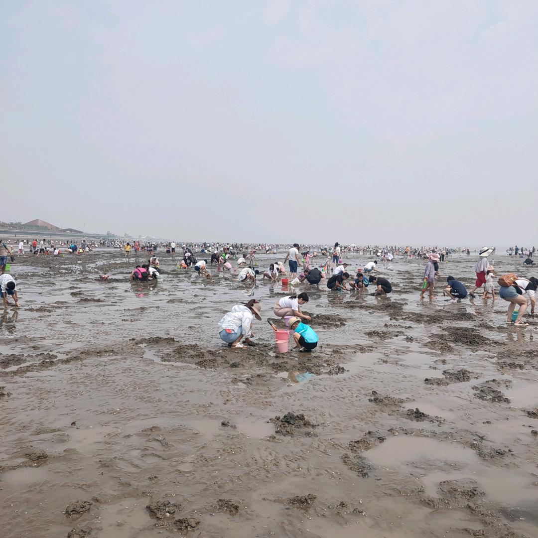 户外赶海大胜