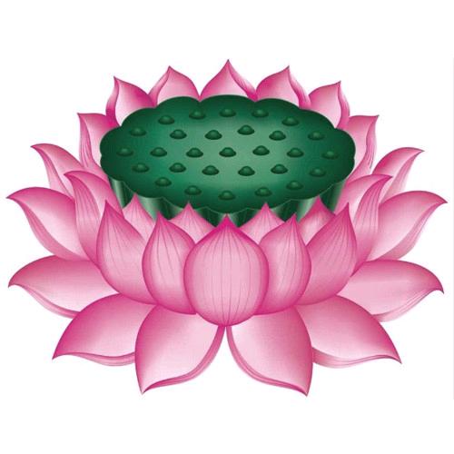 十一