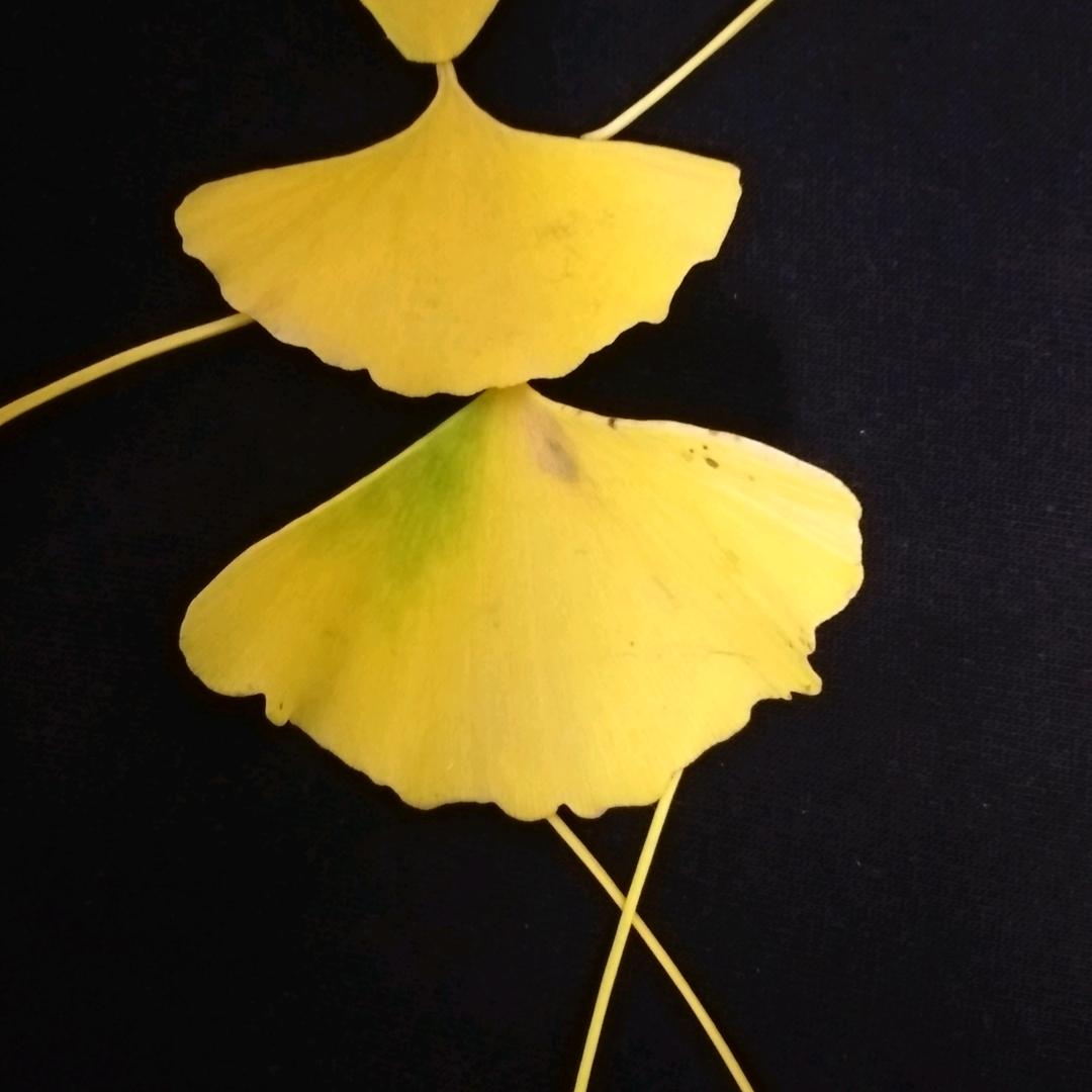 特宜(赞善天祥超市)