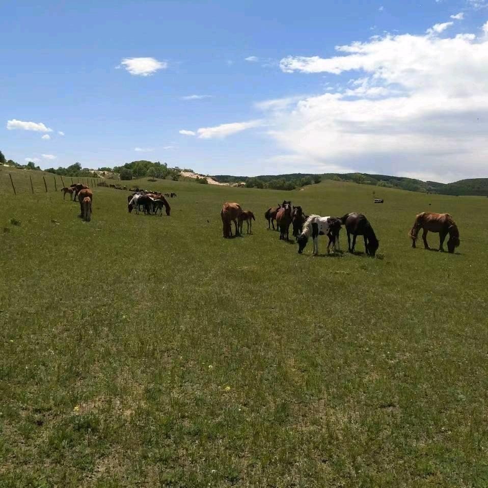 铁骑野马休闲俱乐部。