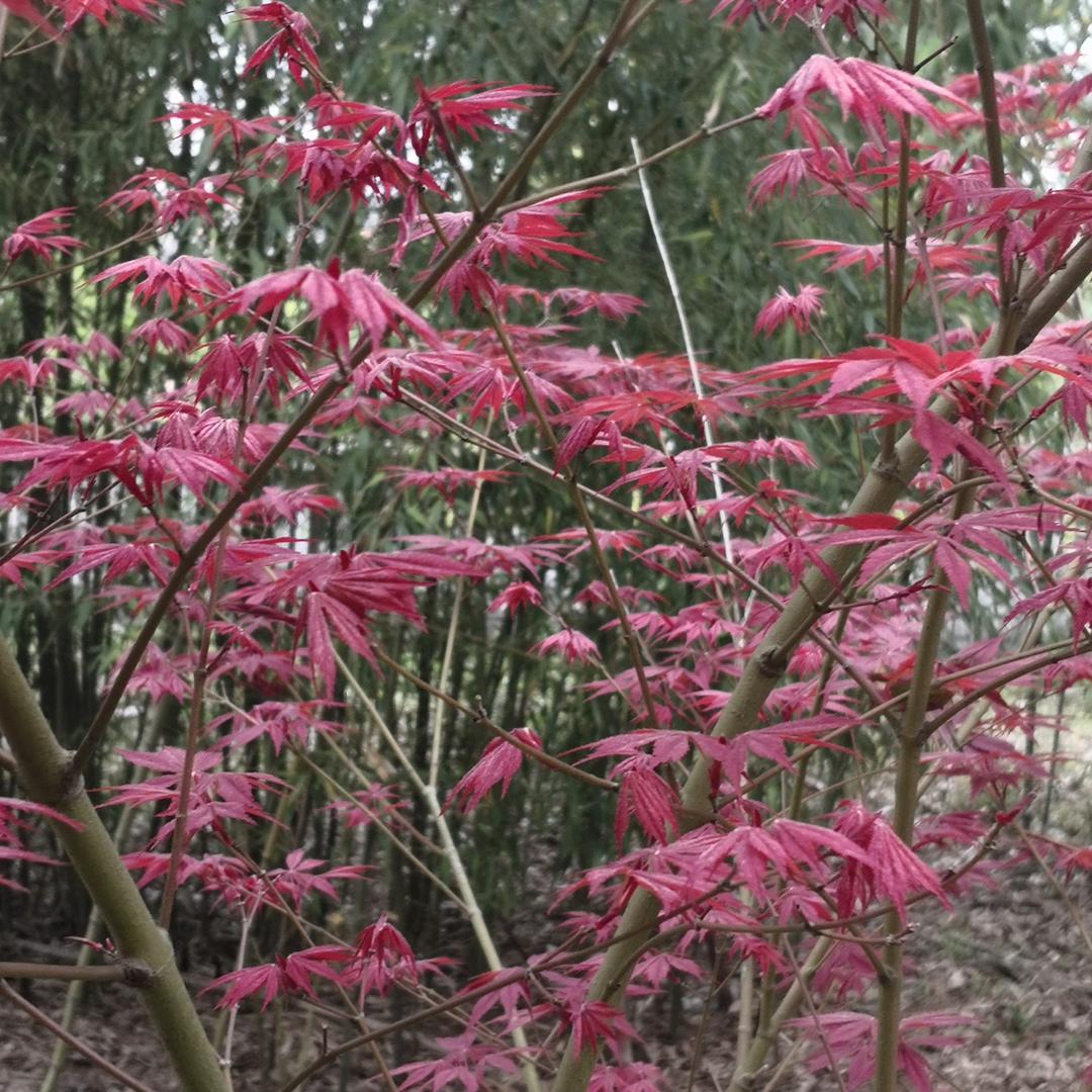 年轻真好