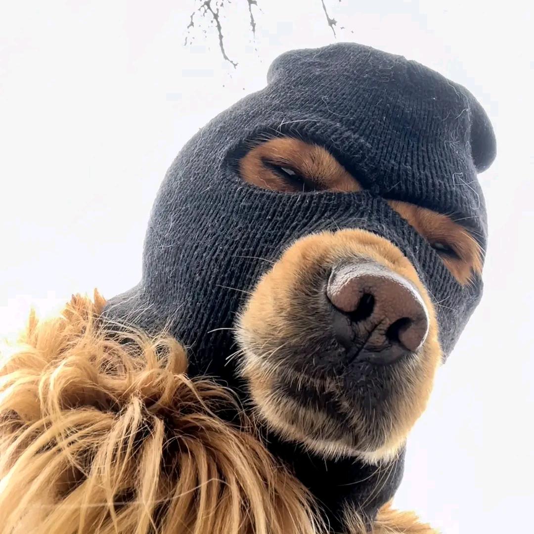 追
