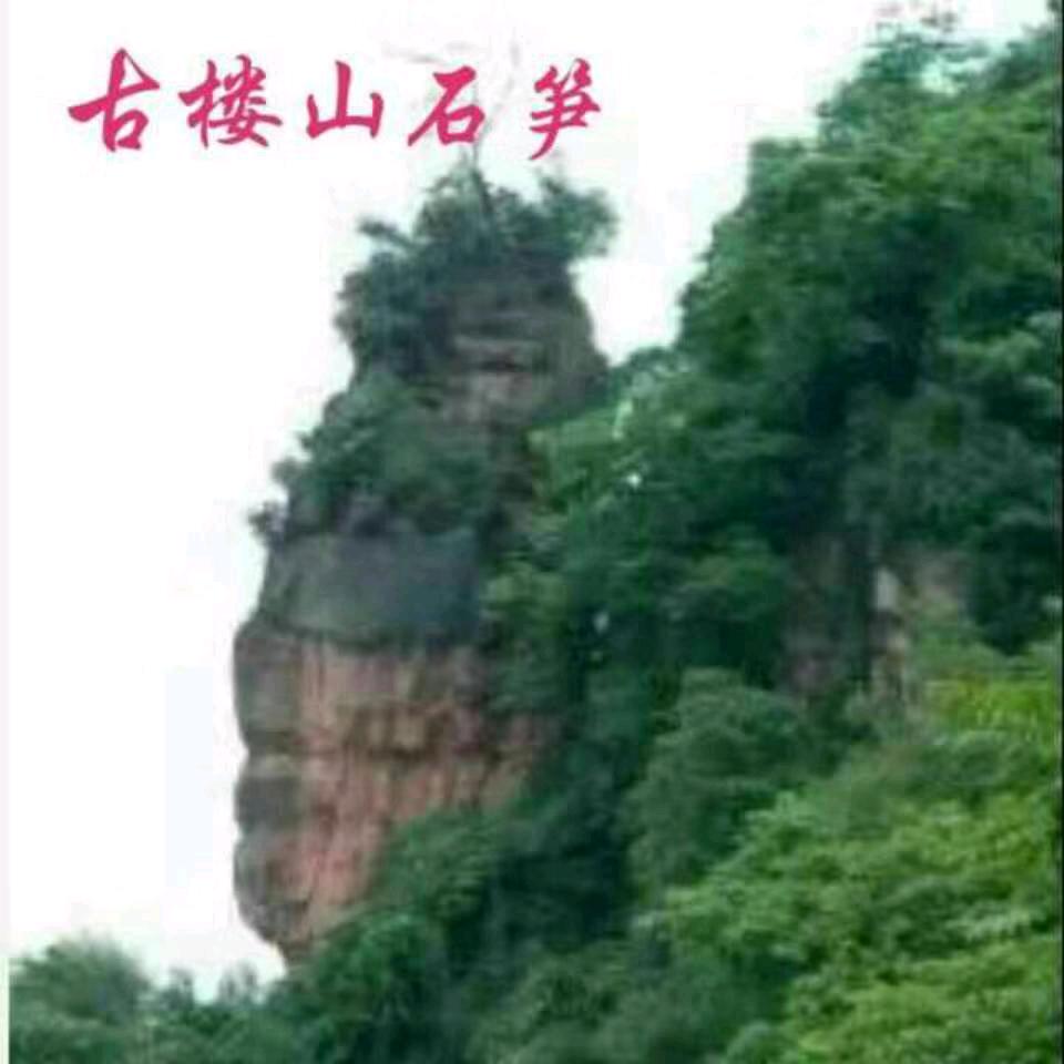 怀疑人生