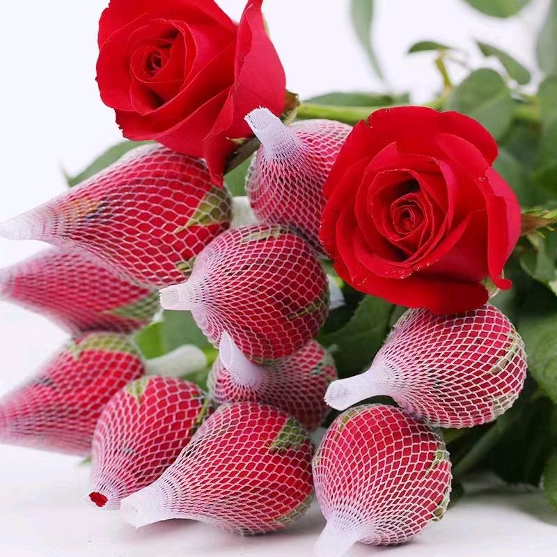 孜古丽4🌹适当好物推荐