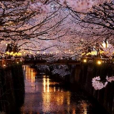 ༻҉ꦼ蓝ꦿ҉᭄色ྃ满ꦿ҉᭄天ྃ星ꦼ҉༺