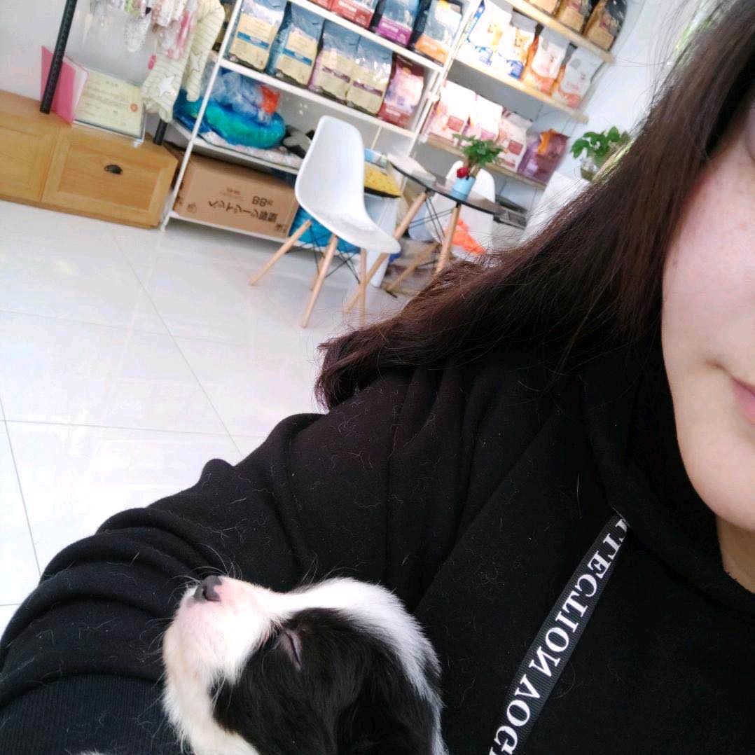 樱花の泪