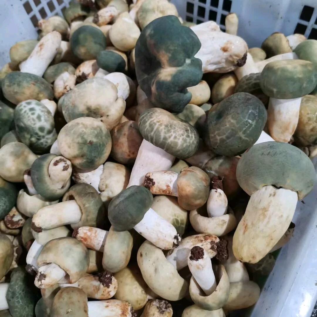 南华县龙川镇南龙农产品购销店