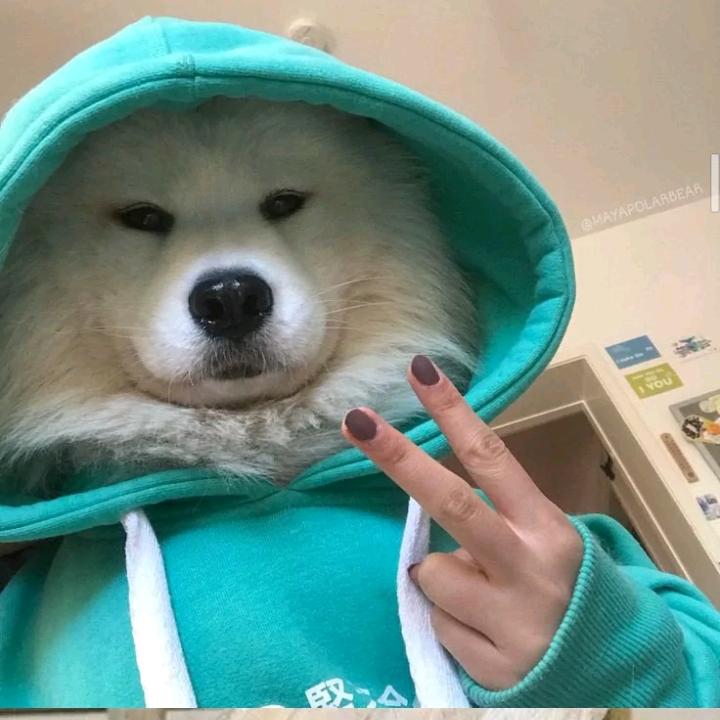 小雯🧸