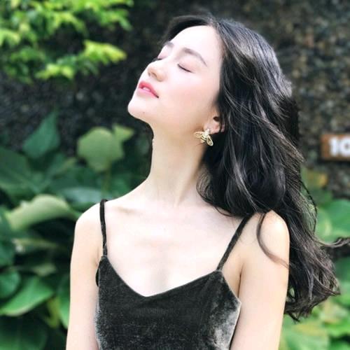 骤风塔吊租赁软件