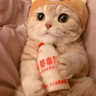 楠so