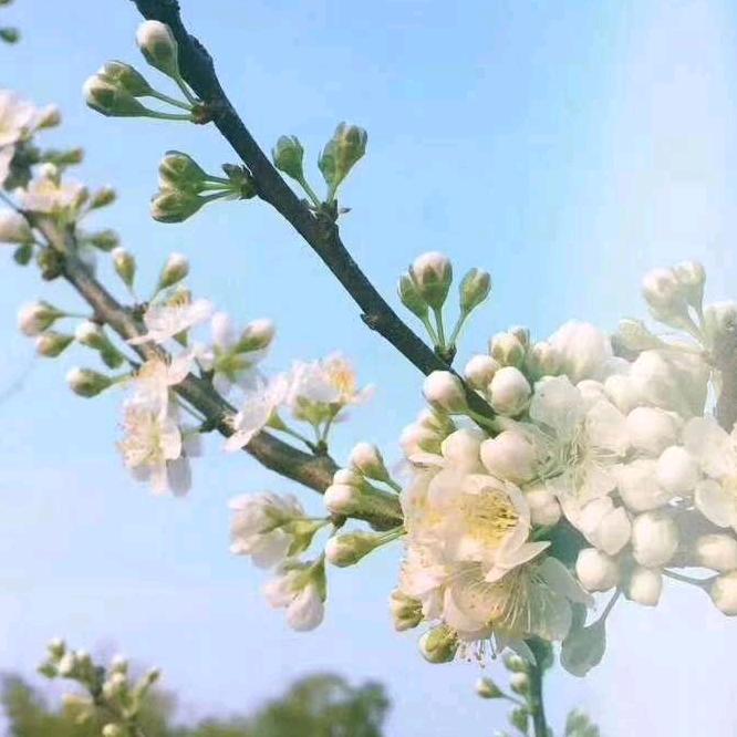 用户5958747000664