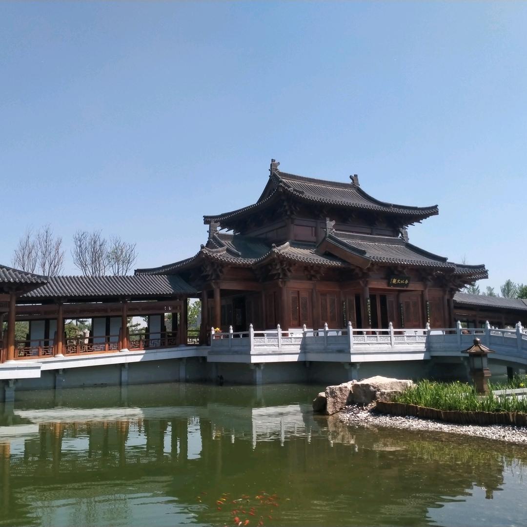 松风梅骨