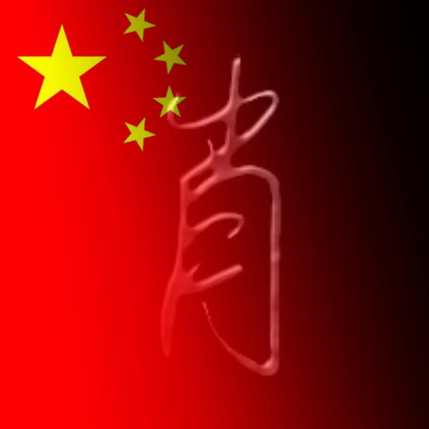 @志在飞翔