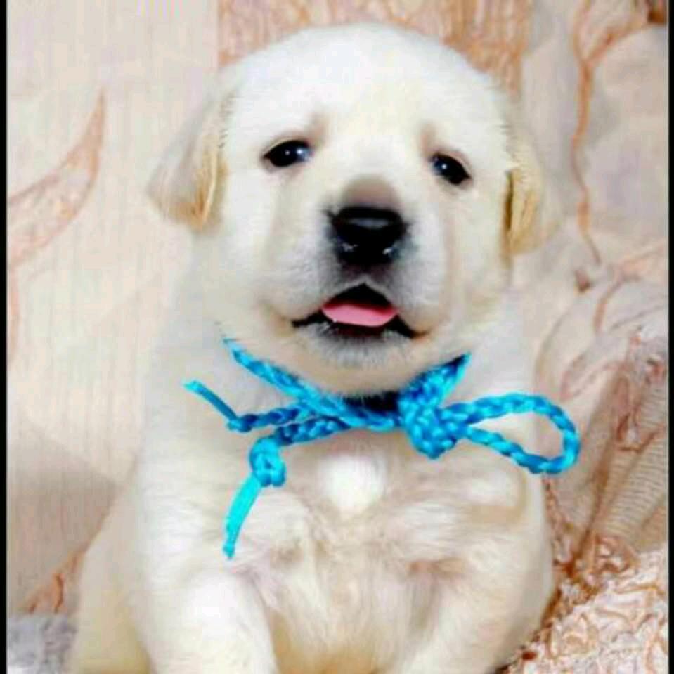 姜诗雅🐶🌻