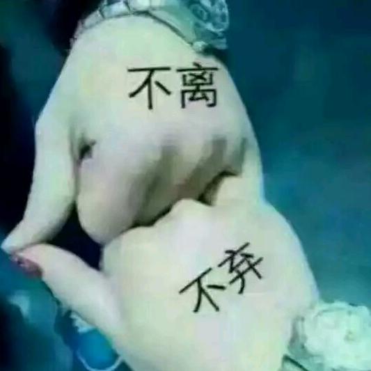 缘分☞430
