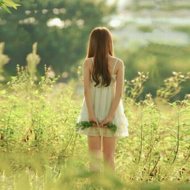 四叶草