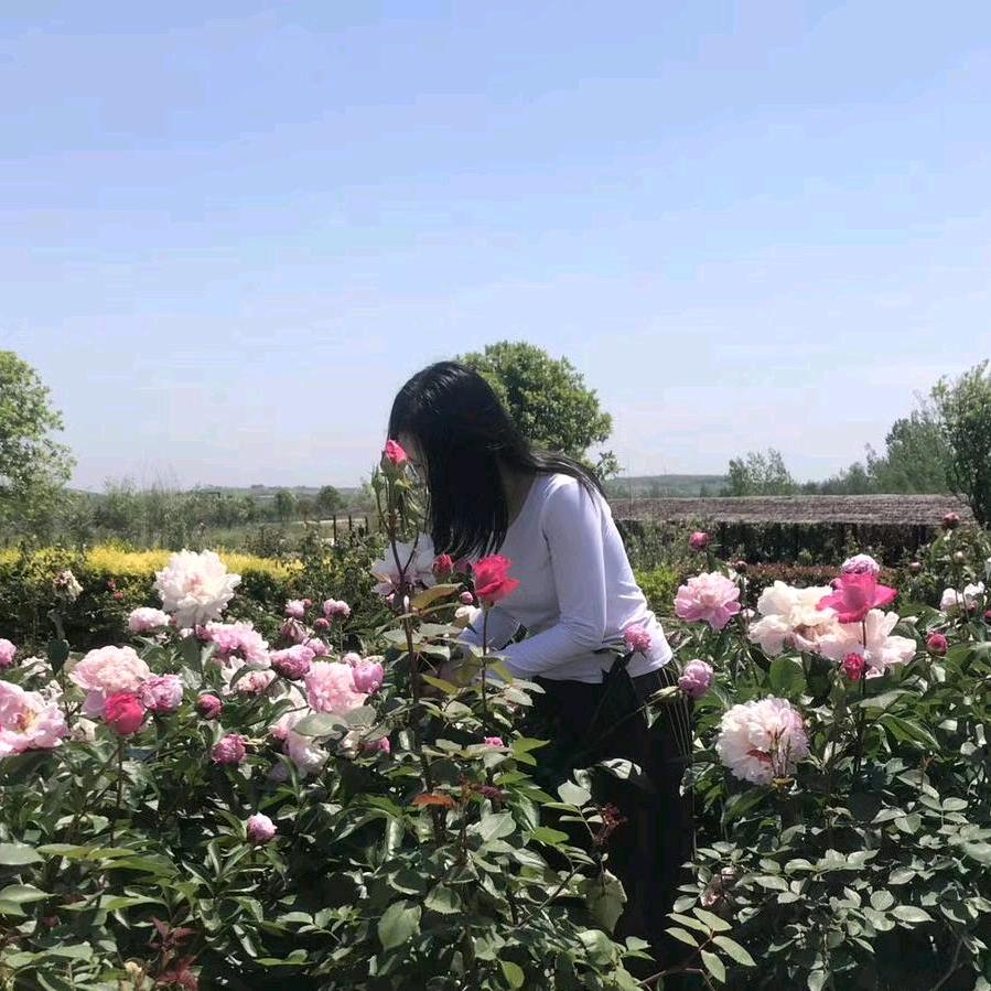 米小朵