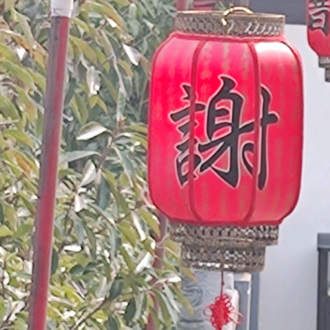 健康种植，无抗养植