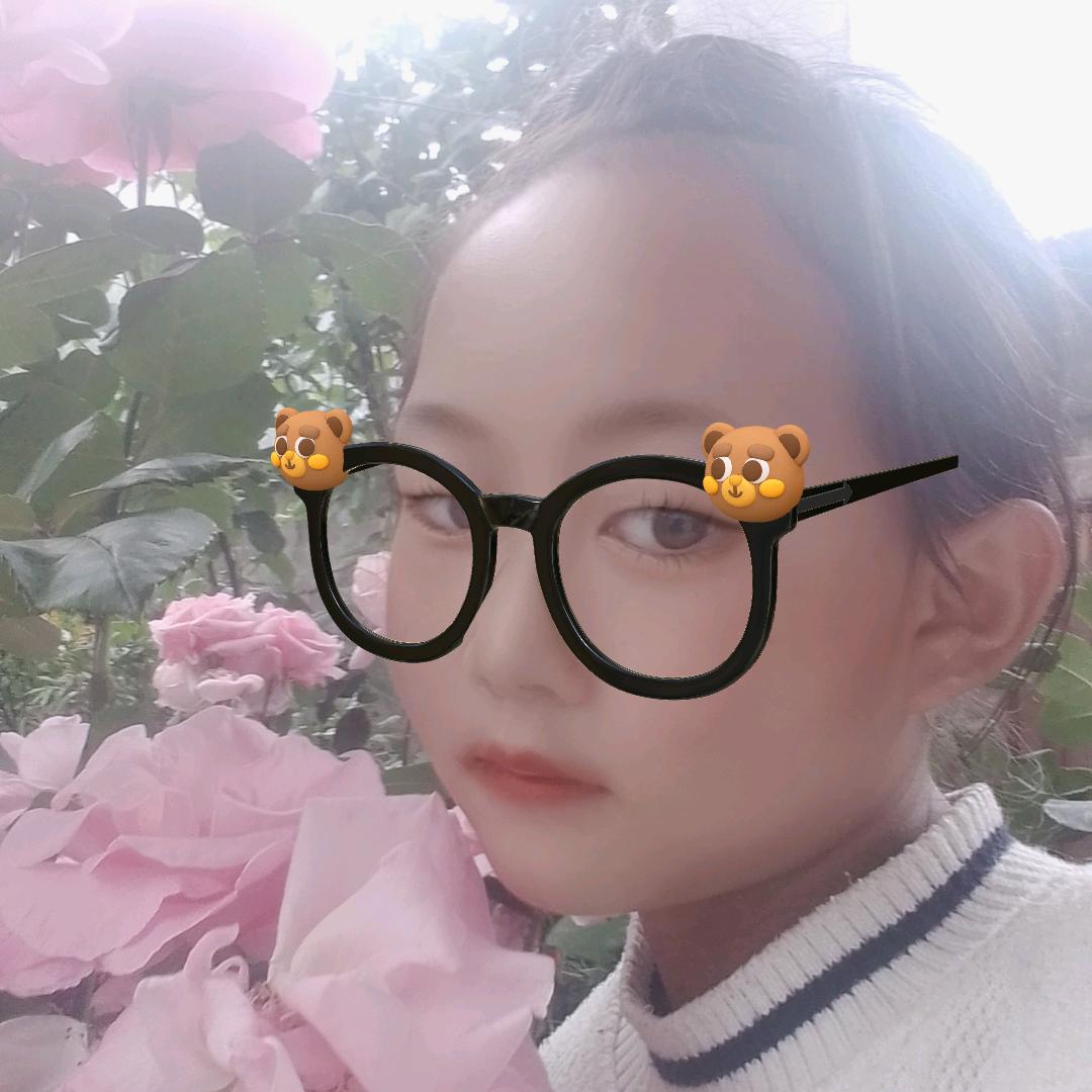 盛开的向日葵🎂