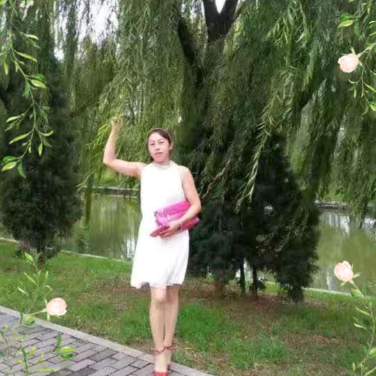 28833270374