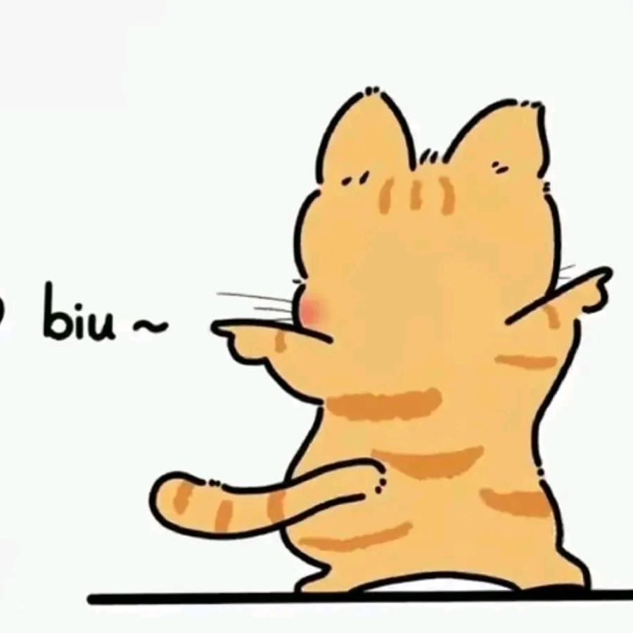 88ZZ