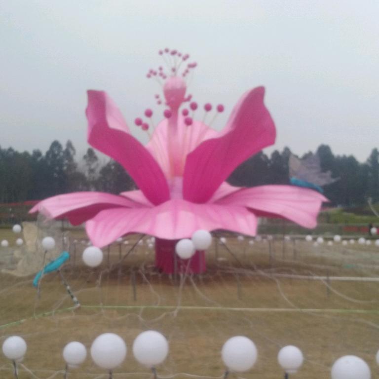 .阳光芙蓉.我爱我的家