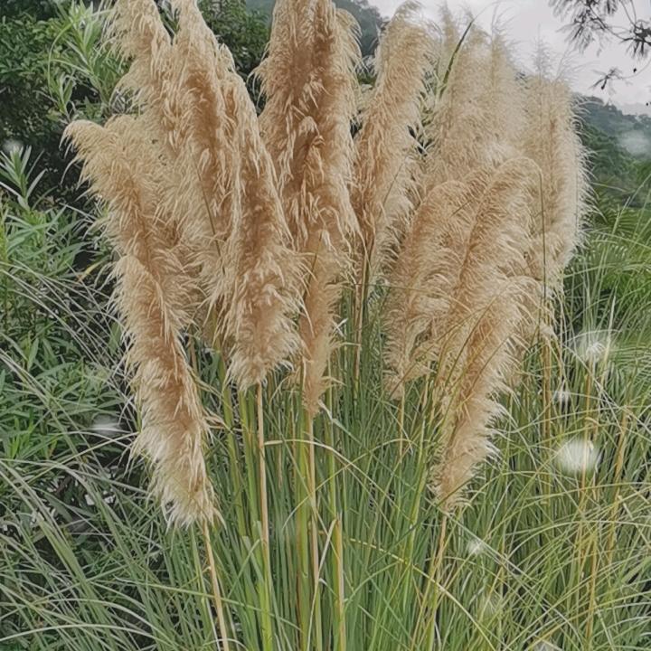 用户名47972048头像