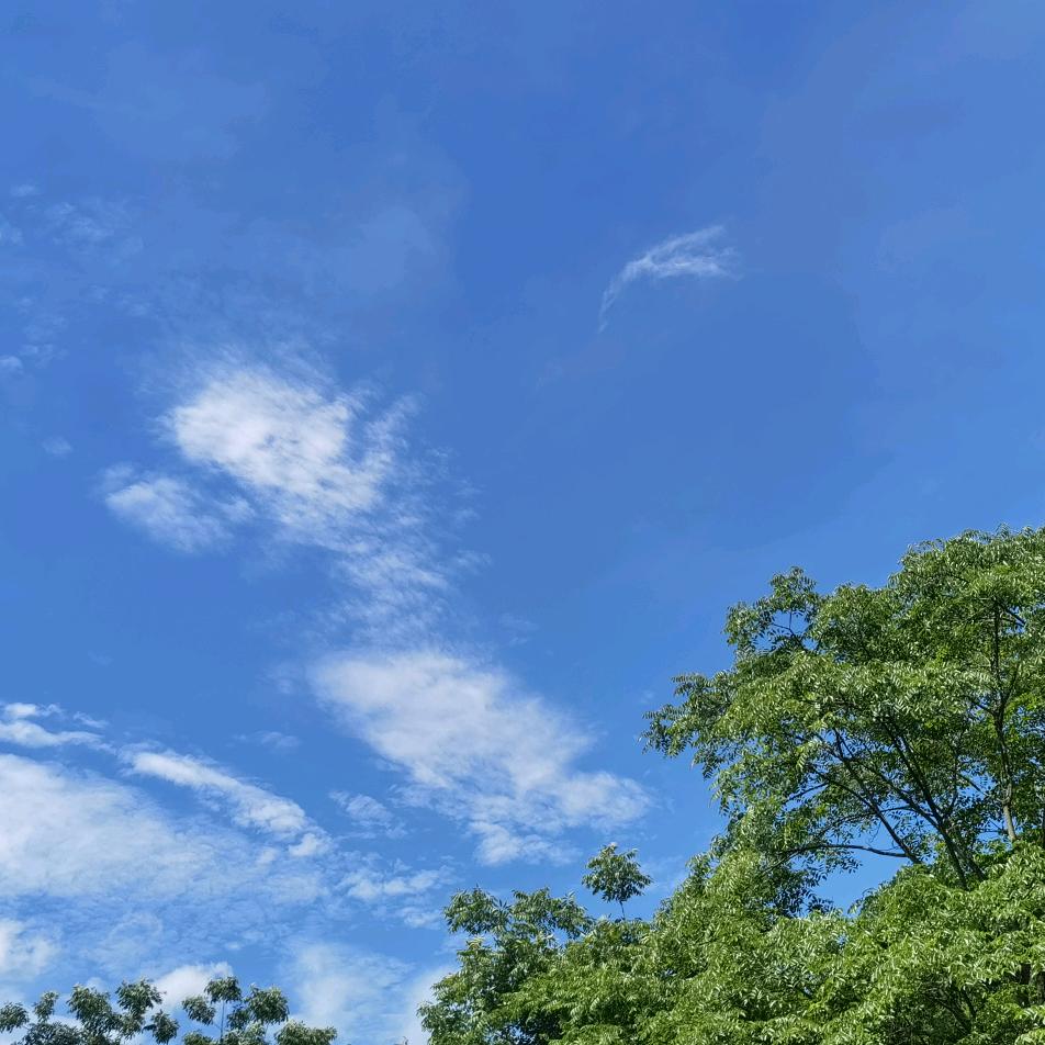 郁孤台拍照的小哥哥