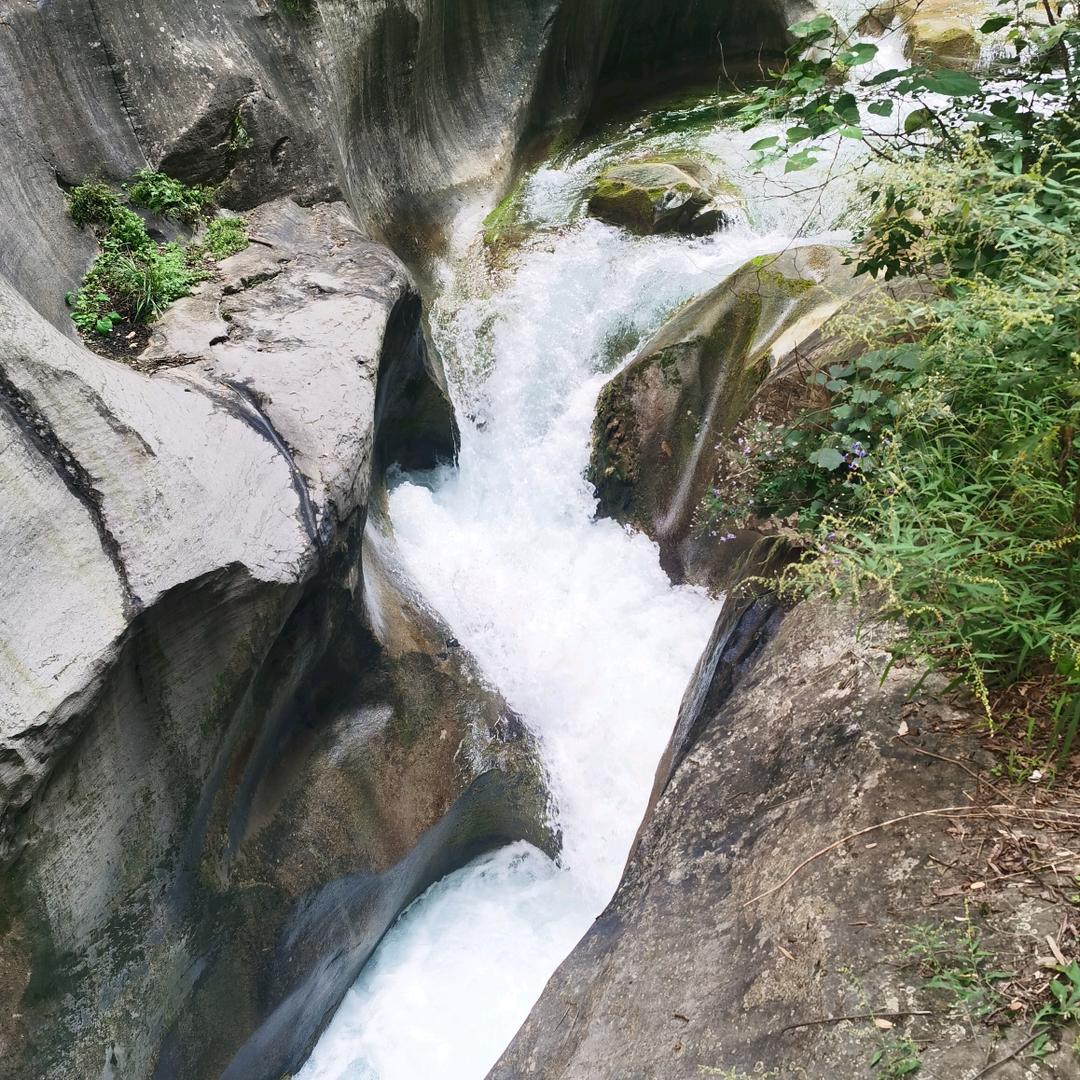 夏日特饮凉白开
