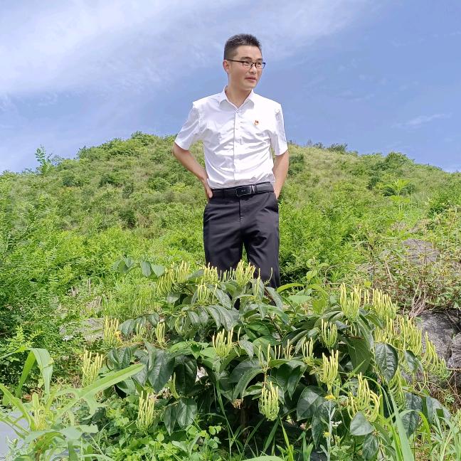 高山核桃哥