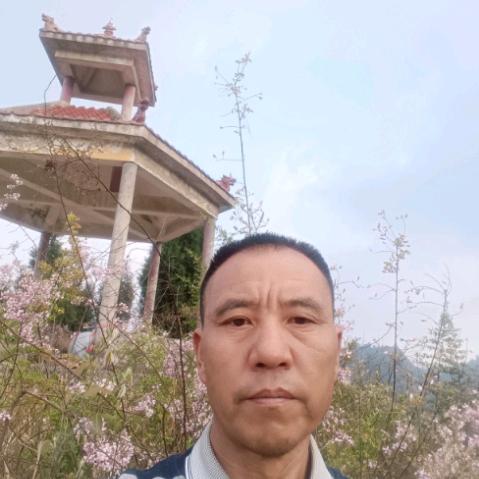 欣欣向荣