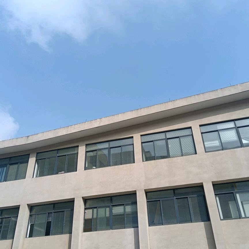兴