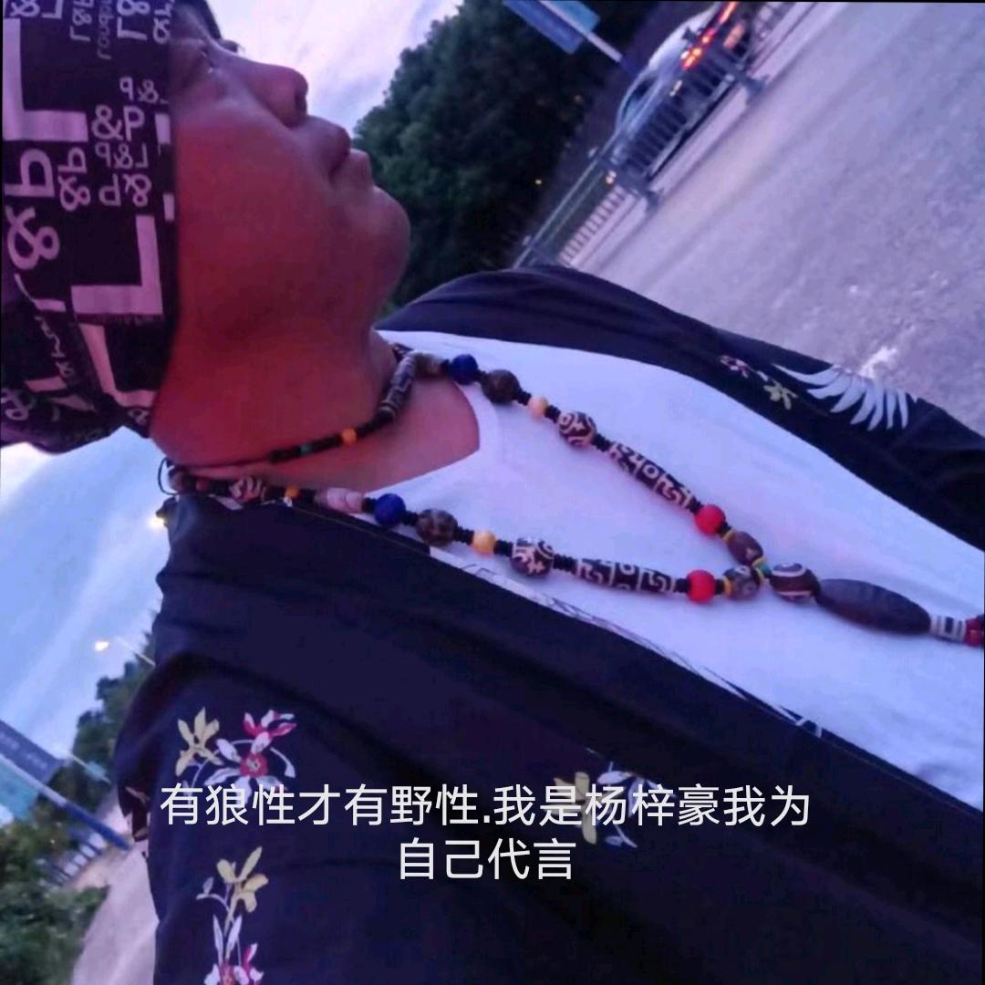 🇨🇳杨梓豪🇨🇳