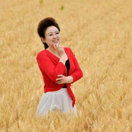 孤雁