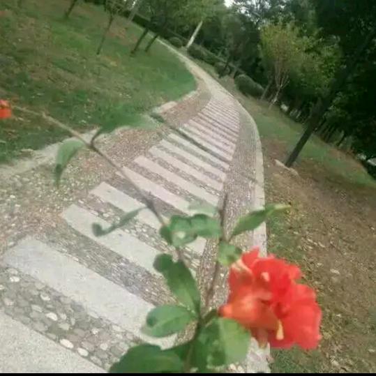 唐门，七妹